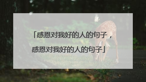 感恩对我好的人的句子，感恩对我好的人的句子