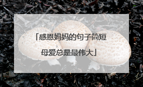 感恩妈妈的句子简短 母爱总是最伟大
