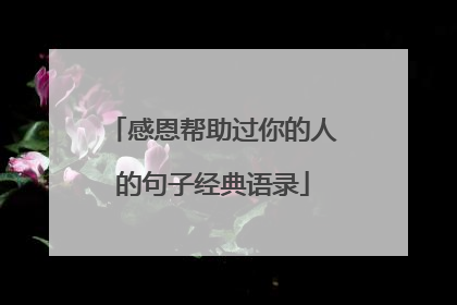 感恩帮助过你的人的句子经典语录