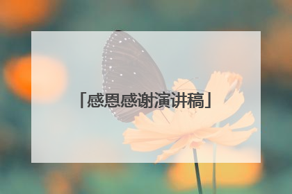 感恩感谢演讲稿