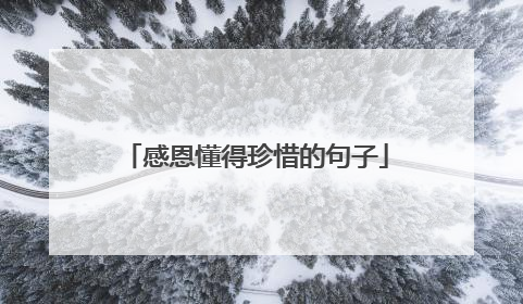 感恩懂得珍惜的句子