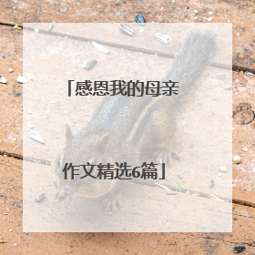感恩我的母亲作文精选6篇