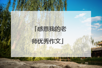 感恩我的老师优秀作文