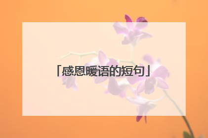 感恩暖语的短句