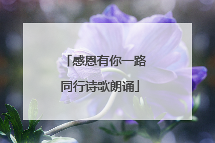 感恩有你一路同行诗歌朗诵