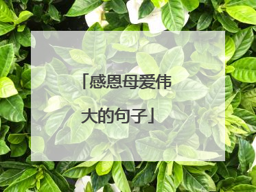 感恩母爱伟大的句子