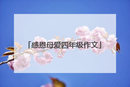 感恩母爱四年级作文