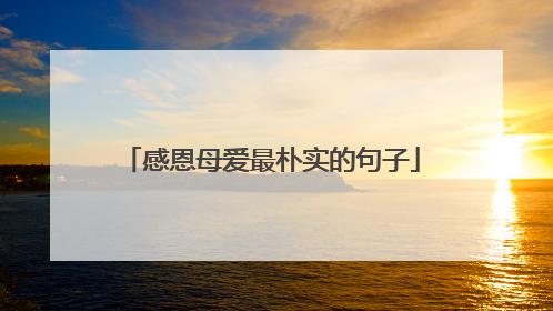 感恩母爱最朴实的句子
