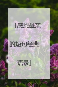 感恩母亲的短句经典语录