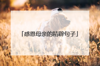 感恩母亲的精辟句子