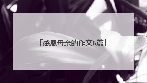 感恩母亲的作文6篇