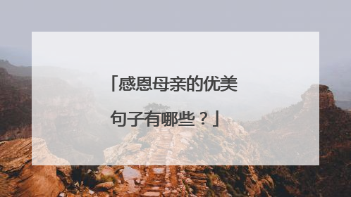 感恩母亲的优美句子有哪些？