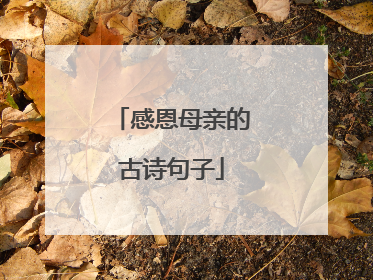 感恩母亲的古诗句子