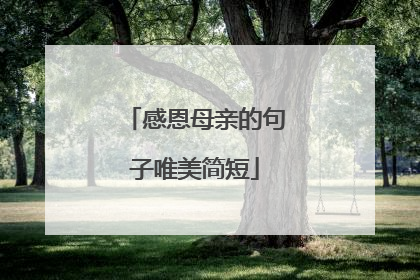 感恩母亲的句子唯美简短