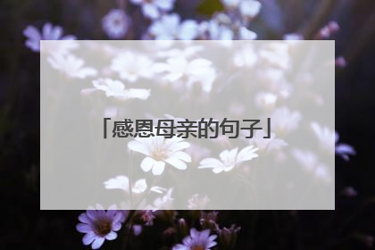 感恩母亲的句子