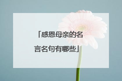 感恩母亲的名言名句有哪些