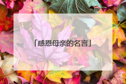 感恩母亲的名言