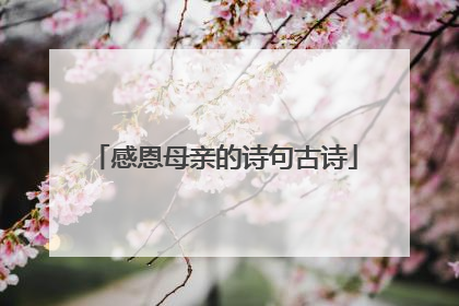 感恩母亲的诗句古诗
