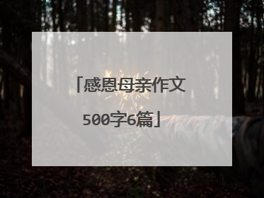 感恩母亲作文500字6篇