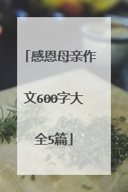 感恩母亲作文600字大全5篇