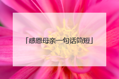 感恩母亲一句话简短