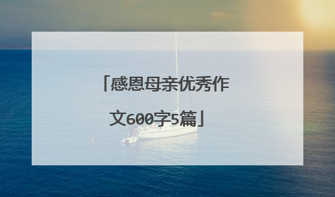 感恩母亲优秀作文600字5篇
