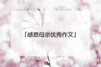 感恩母亲优秀作文