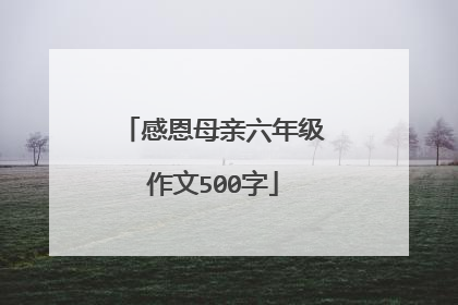 感恩母亲六年级作文500字