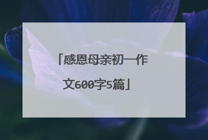 感恩母亲初一作文600字5篇