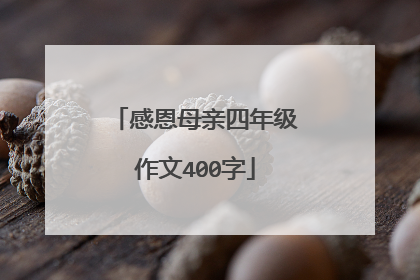 感恩母亲四年级作文400字