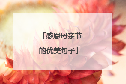 感恩母亲节的优美句子