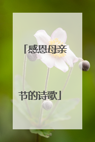 感恩母亲节的诗歌