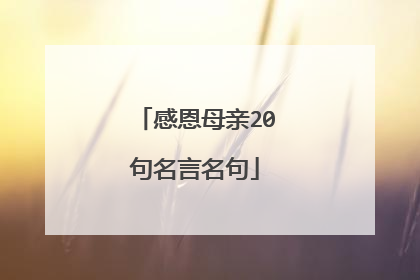 感恩母亲20句名言名句