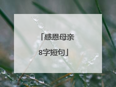 感恩母亲8字短句