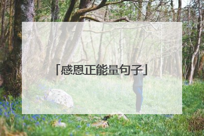 感恩正能量句子