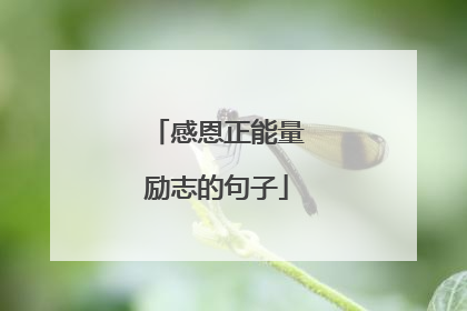 感恩正能量励志的句子
