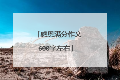 感恩满分作文600字左右