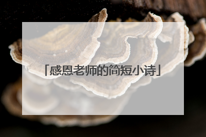 感恩老师的简短小诗