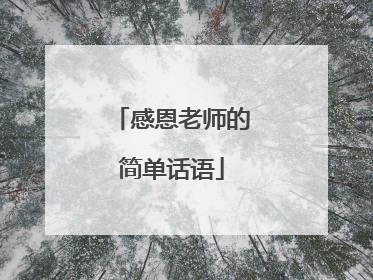 感恩老师的简单话语