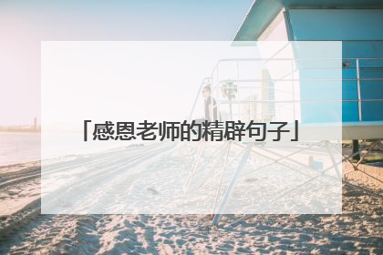 感恩老师的精辟句子