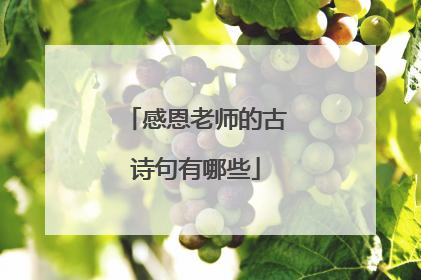 感恩老师的古诗句有哪些