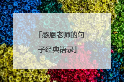 感恩老师的句子经典语录