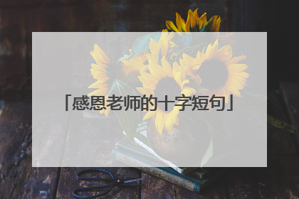 感恩老师的十字短句