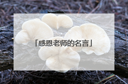 感恩老师的名言