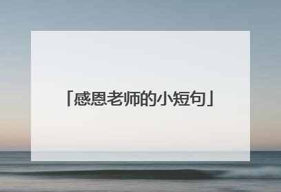 感恩老师的小短句
