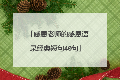 感恩老师的感恩语录经典短句40句
