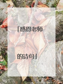 感恩老师的诗句