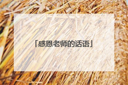 感恩老师的话语