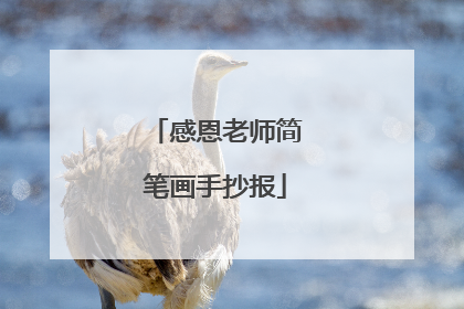 感恩老师简笔画手抄报