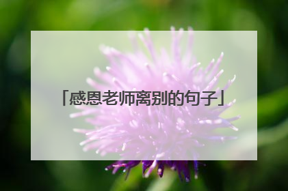 感恩老师离别的句子